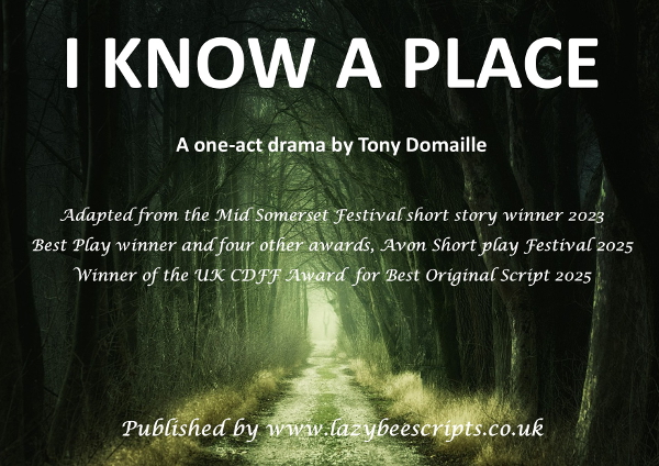 I Know A Place by Tony Domaille
